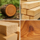 ALA LIGNEA SIA, timber trade